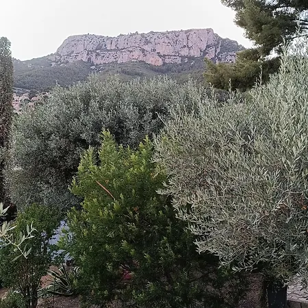 Climatise Avec Piscine Sur Les Hauteurs De Tulon